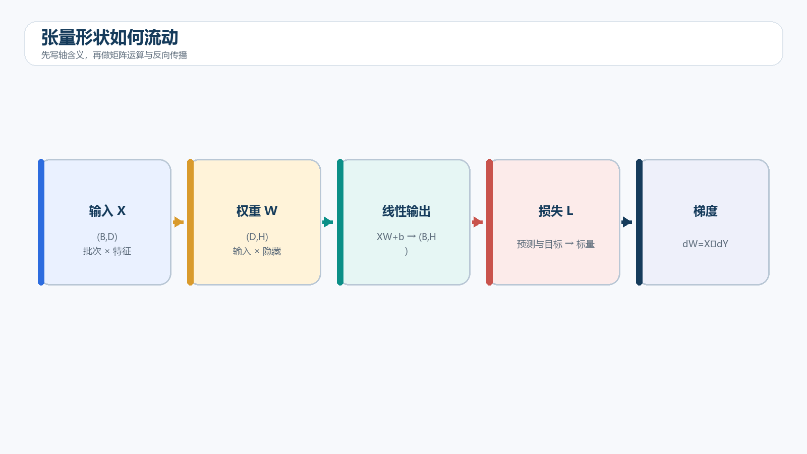 张量形状与梯度流